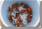 clip_image014[4]