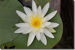 DSC04358